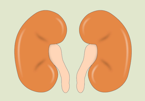 Aluminum foil-Kidneys are Damaged