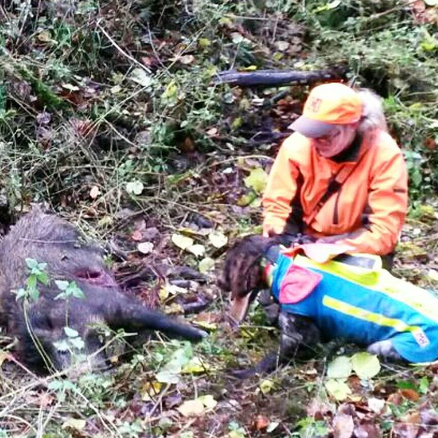 Jagd ohne Hund ist Schund