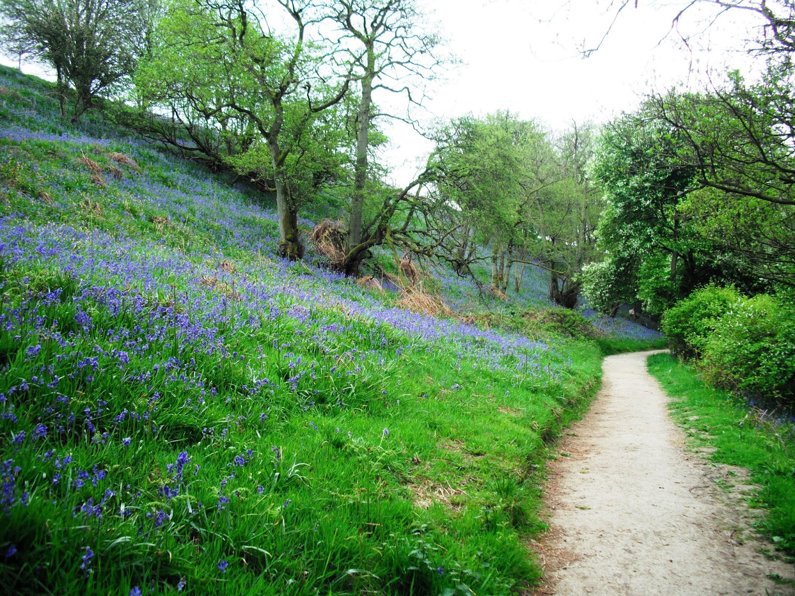 Love my life 12 mile walk from Gillamoor in North Yorkshire