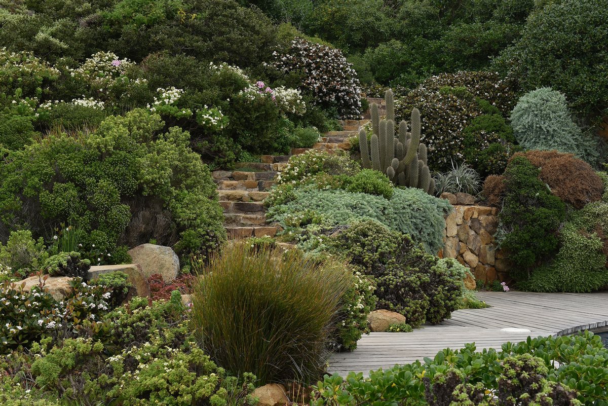 Jardín Bahía Azul en Chile: plantas nativas con vistas al Pacífico