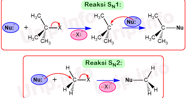 Karakteristik Reaksi Sn1 Dan Sn2 Urip Dot Info