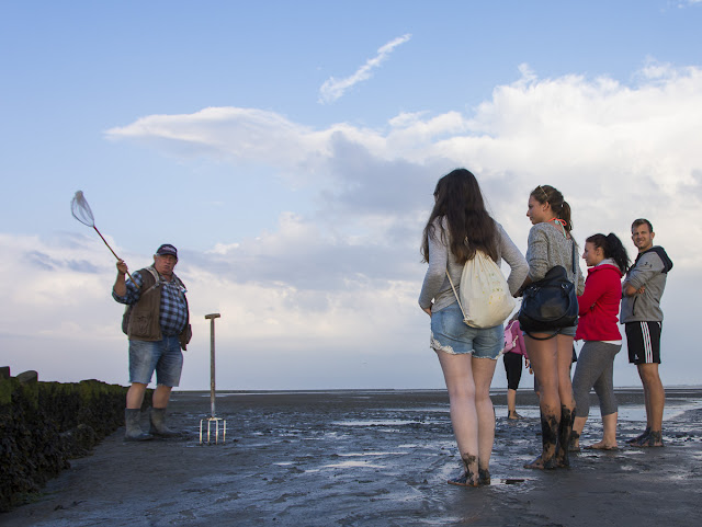 Langeoog, Watt, Nordsee, Ostfriesland, Wattwanderung, Ossi, Wattenmeer, Weltnaturerbe, 