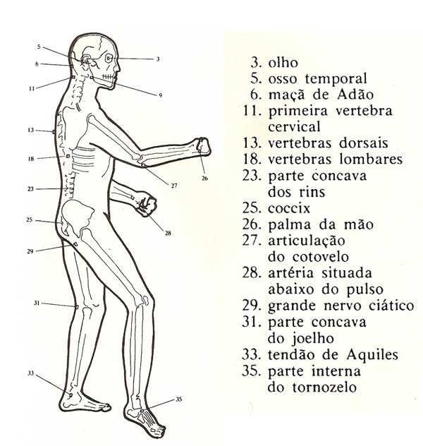 18/666 Alguns pontos vitais do corpo humano 18/666 Alguns pontos vitais do corpo humano