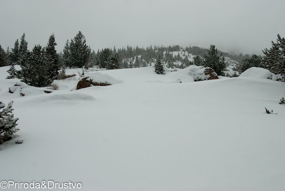East Glacier Knob 500 Summits