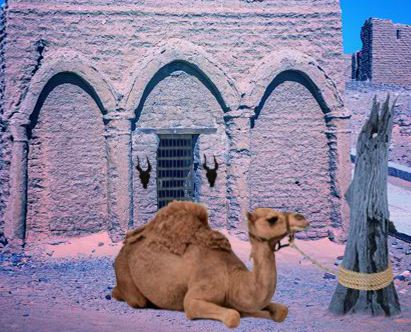 FirstEscapeGames Escape Game Desert Camel