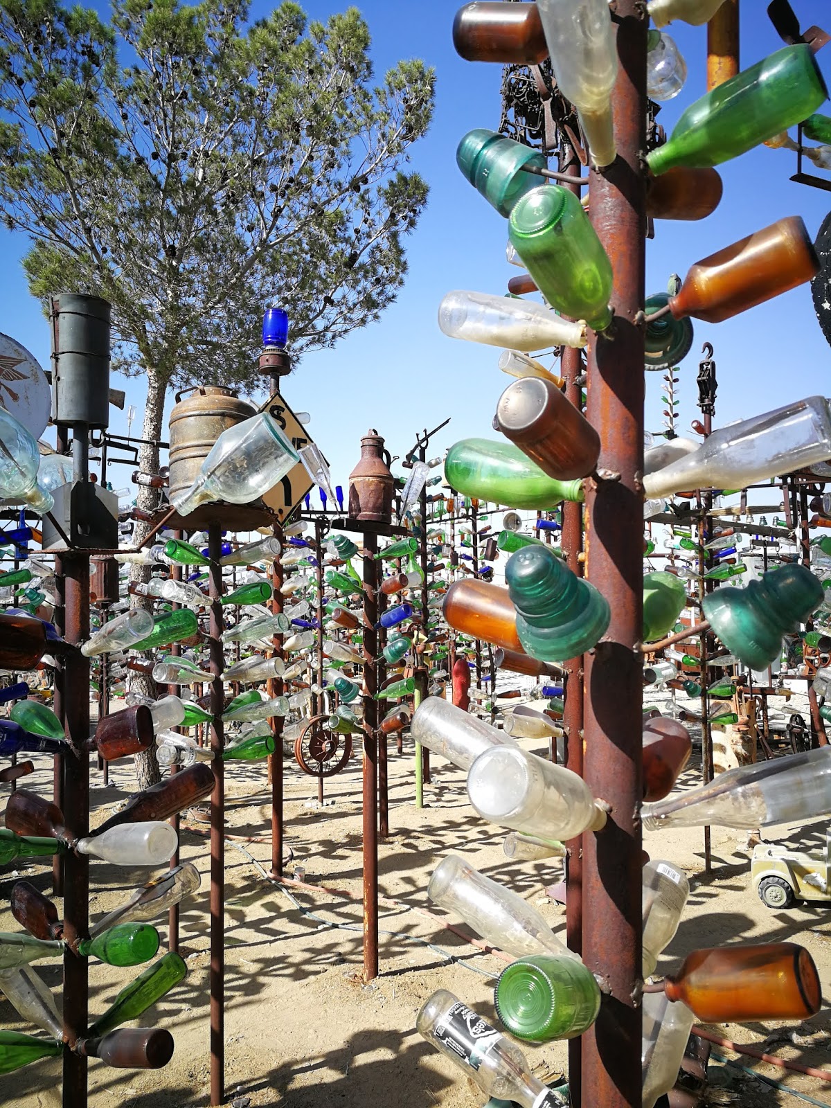 Elmer's Bottle Tree Ranch un luogo magico lungo la Route 66