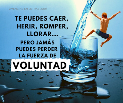 Te puedes caer, herir, romper, llorar...pero no perder la voluntad imagen con reflexión