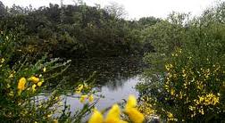 Lagoa de Alcaián