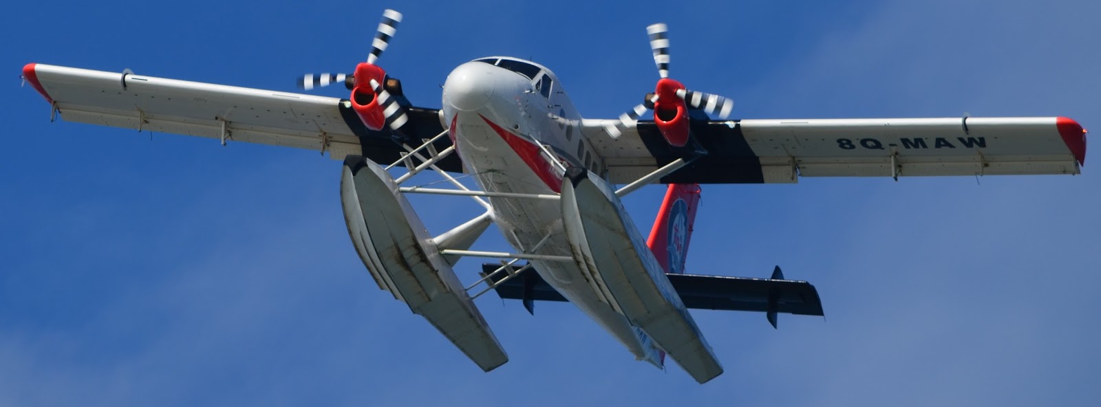 Spicejet to add amphibious planes that can land on water, fields The