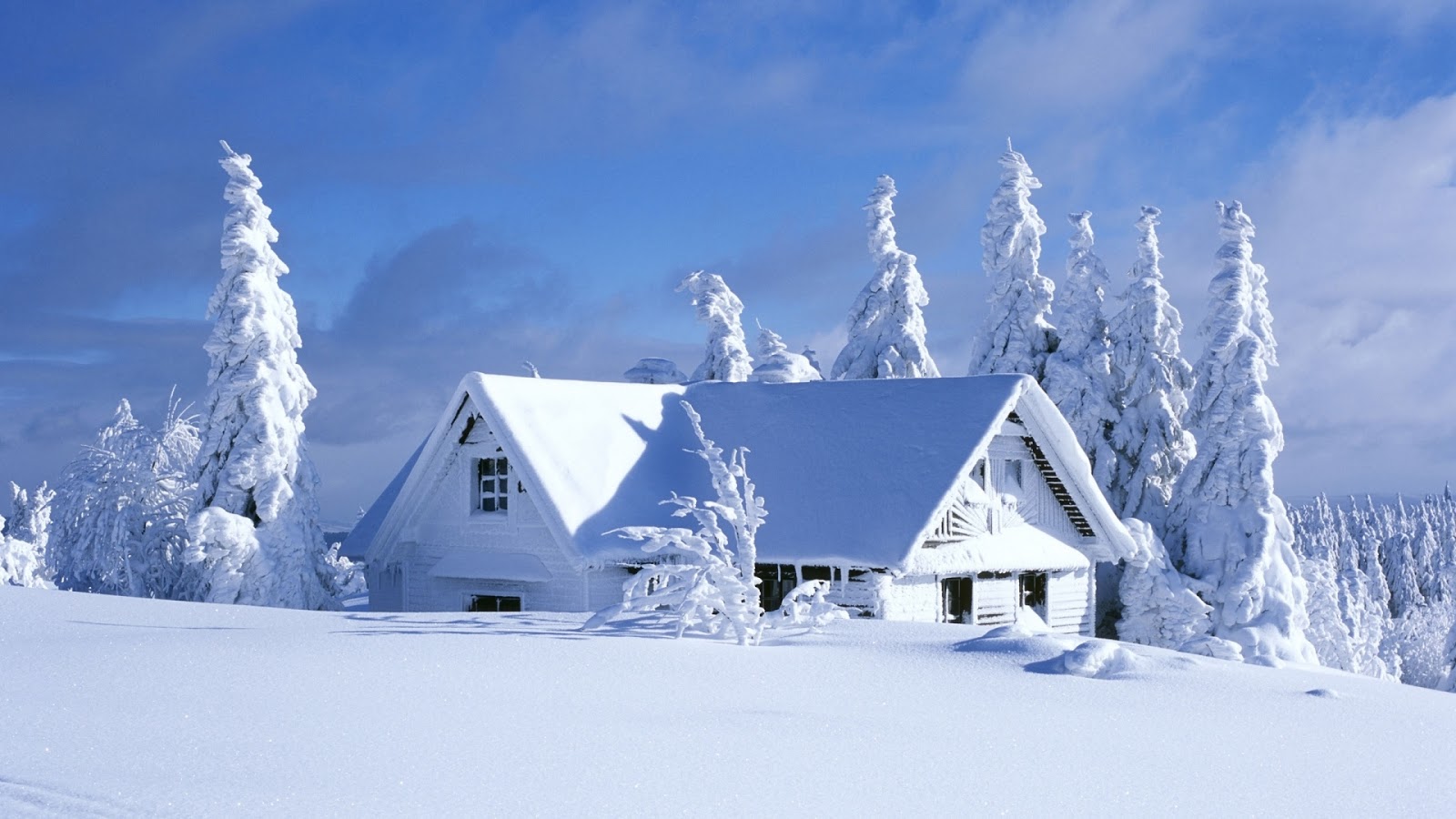 winter wallpapers winter