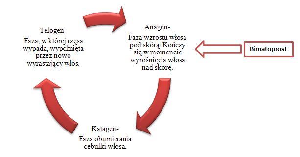 content_diagram.jpg