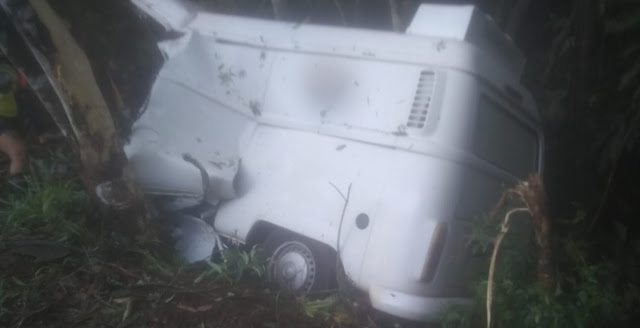 Iretama: Kombi fica destruída em acidente na 487