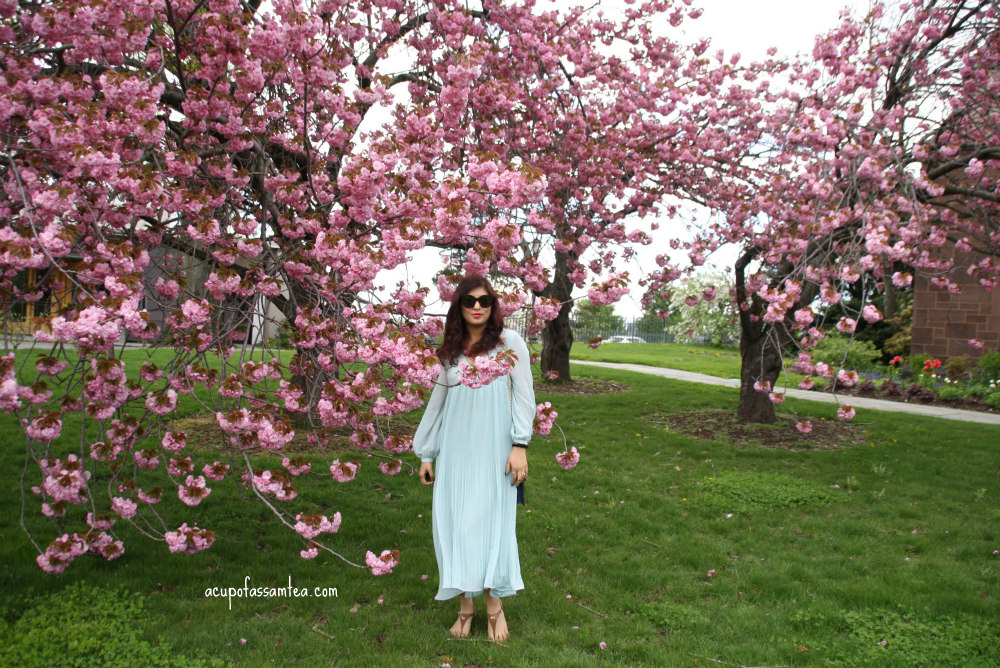 Hidden Gem Greenwood Cemetery for cherry blossom in the NYC