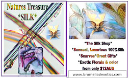 Bromeliad Exotics Silk Collection