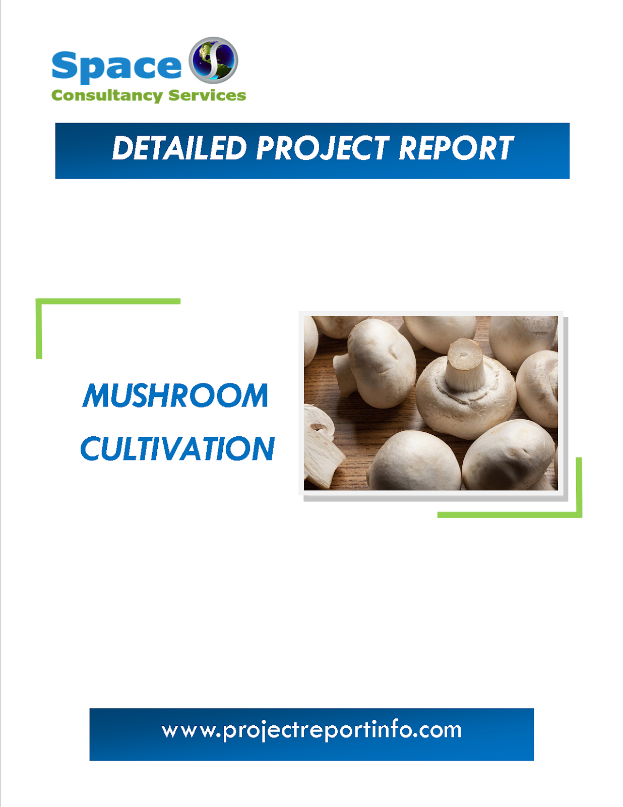 Project Report on Mushroom Cultivation Space Consultancy Services