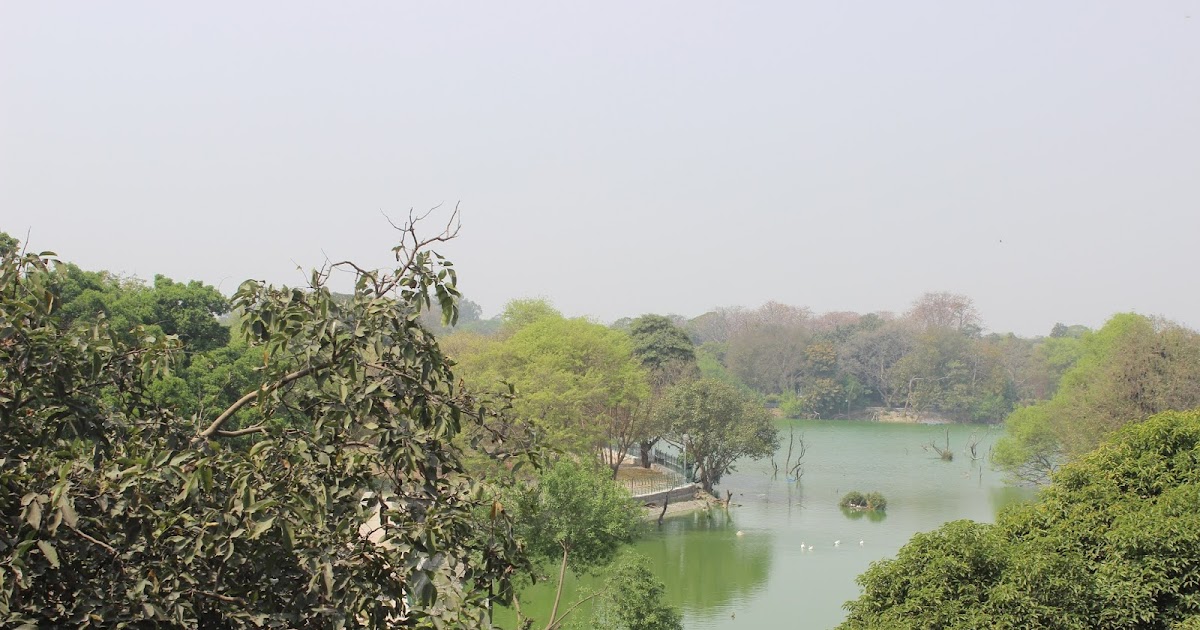 Finding Joy in the Times of Corona 