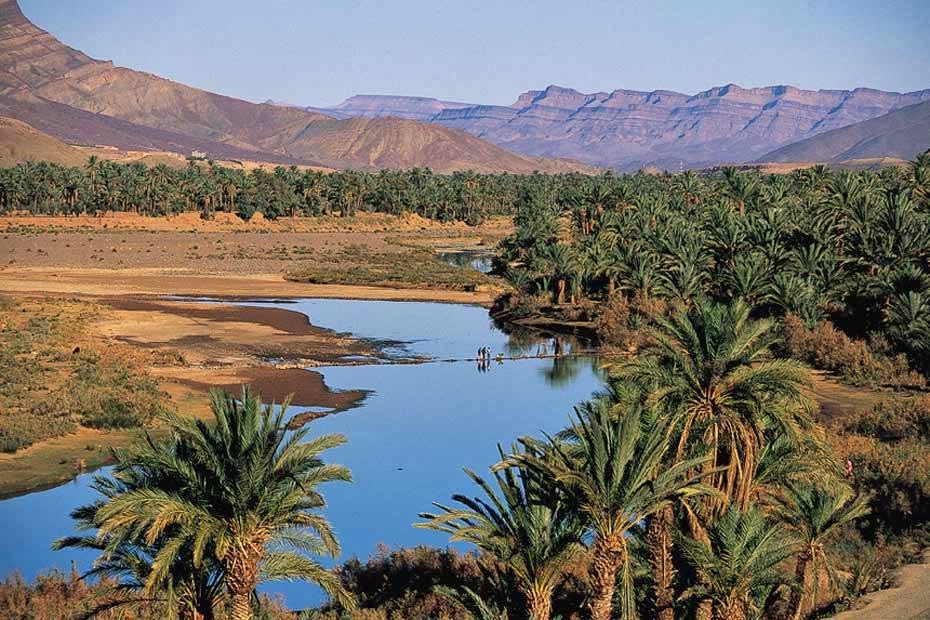 Крупнейший оазис. Оазис Марокко. Долина Драа Марокко. Райская Долина Марокко. Река ЗИЗ Марокко.