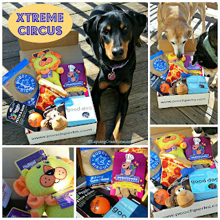 pooch perks dog subscription box