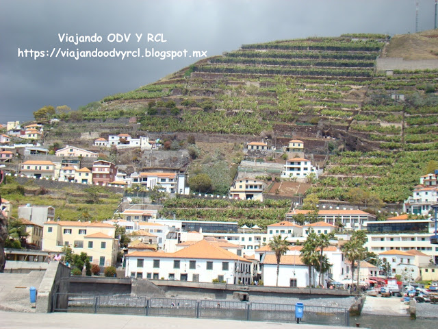 Que hacer, donde ir, que visitar en Funchal