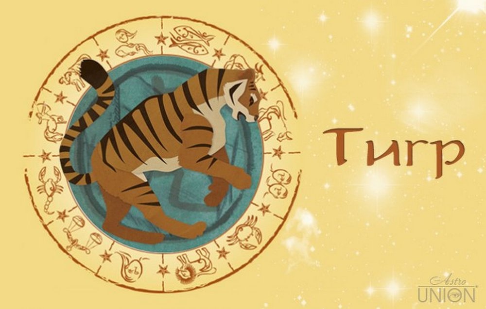 Гороскоп тигр апрель 2024. Тигр гороскоп. Тигр знак зодиака. Год тигра гороскоп. Символ года тигра.