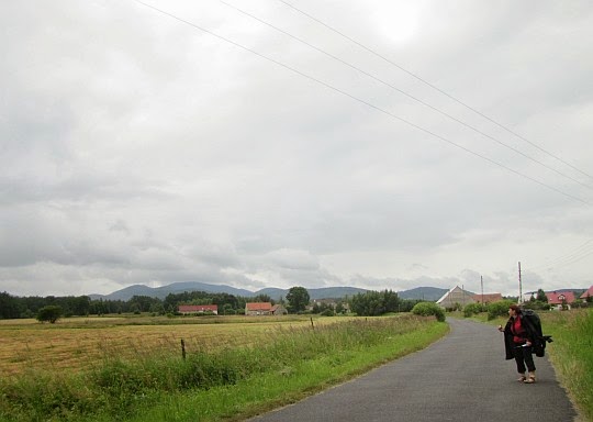 Błotnica. Błotnica.