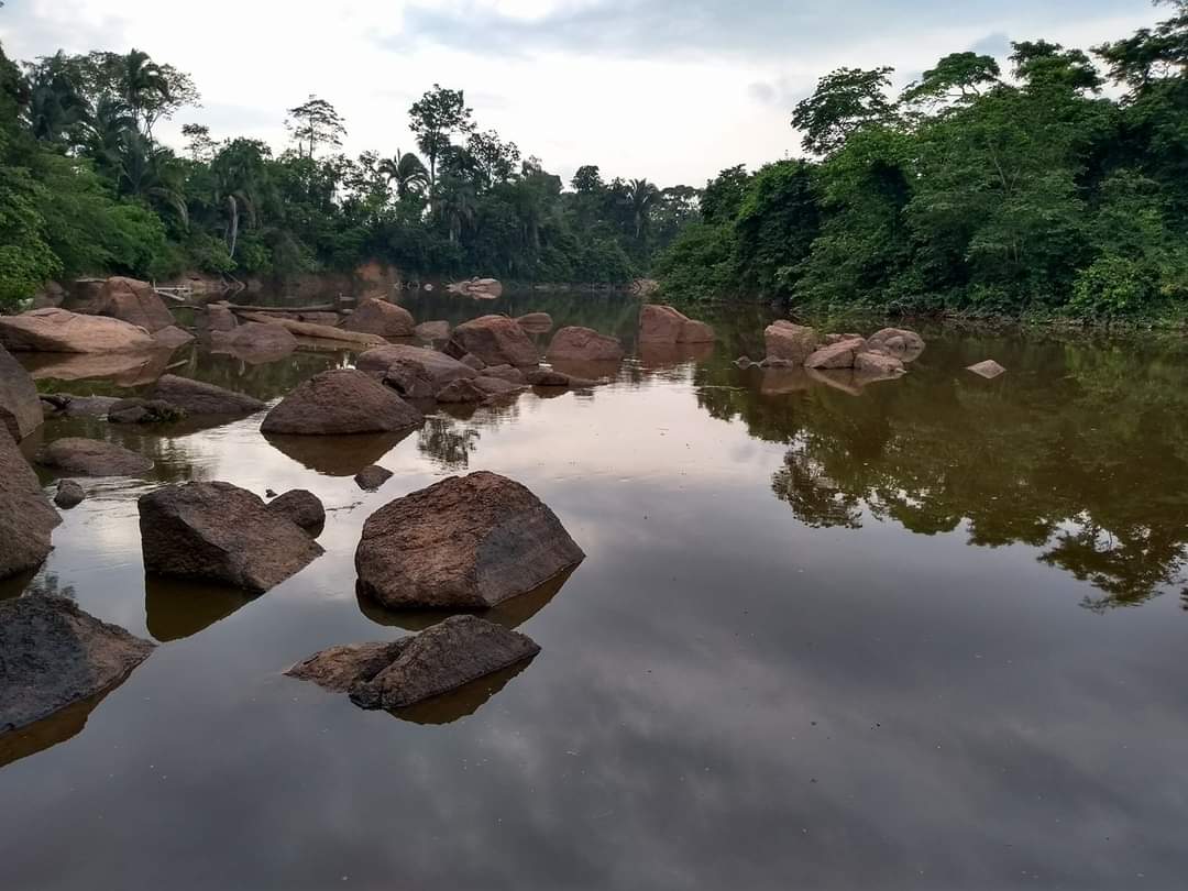 Vereador sugere convidar a Vale para apresentar medidas de contingência ao rio Parauapebas, em caso de acidentes.