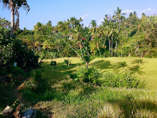 Rural Scenery Of The Farm Fields At Ringdikit Village, Buleleng, North Bali, Indonesia