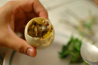 How to eat balut