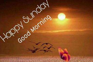 Good Morning Happy Sunday | 25+ Good morning happy Sunday Images Good Morning Happy Sunday | 25+ Good morning happy Sunday Images