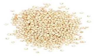 Food containing plant protein