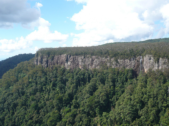 Patrimonio de la Humanidad Bosques húmedos Gondwana de Australia 1986