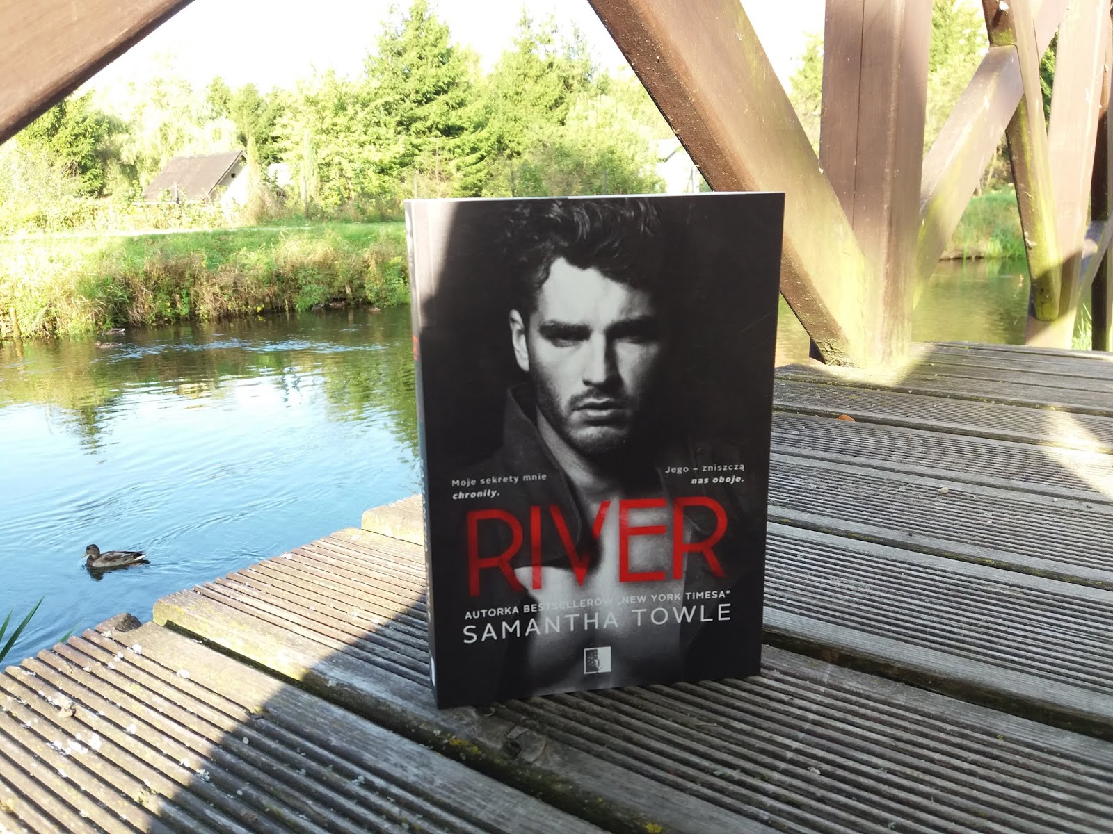 river wild de samantha towle river wild de samantha towle