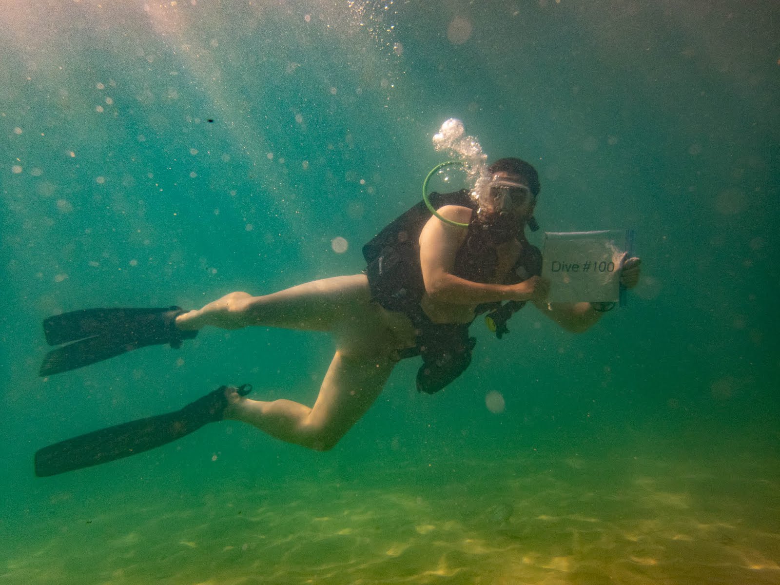 Bluedating Iphone Apps Key West Snorkel Naked