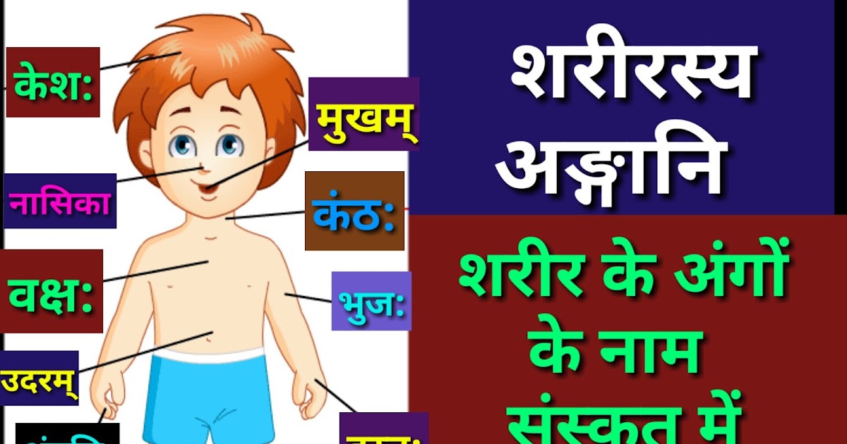 संस्कृत में शरीर के अंगों के नाम | Names of body parts in Sanskrit