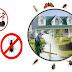 5 Ways To Prevent Pest