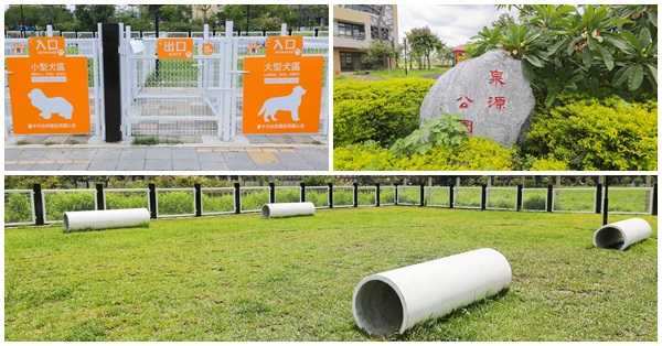 台中東區|泉源公園|樂業寵物公園|快帶毛小孩一起去運動