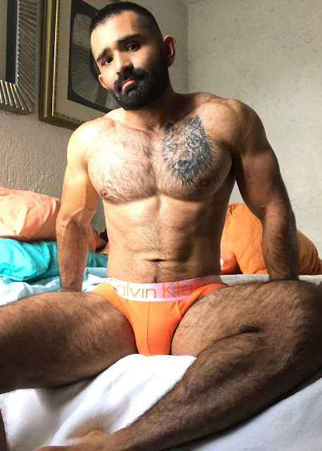 Handsome Semi Erotica Muscular Underwear Models