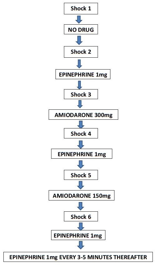 Mediced Makes It Simple Management Of The Patient In Cardiac Arrest