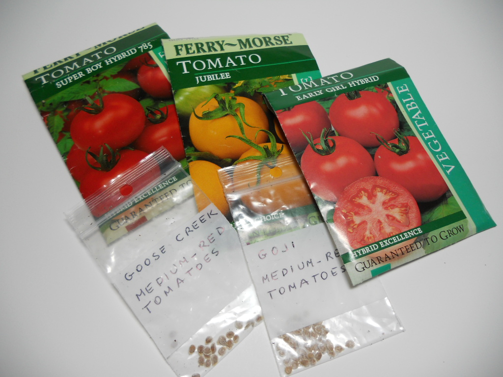 Gardening In South Florida: Zone 10 Start some Seeds