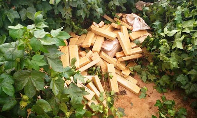 Carro capota e polícia acha meia tonelada de maconha no oeste da Bahia