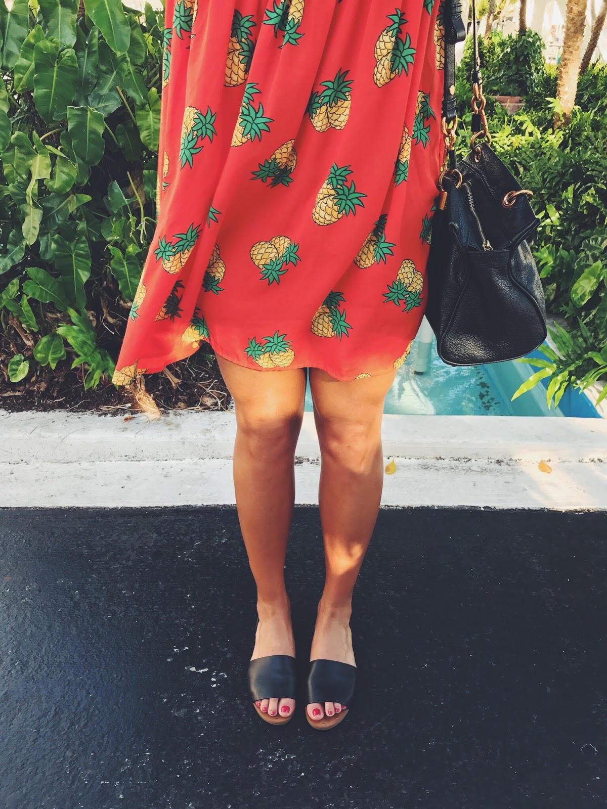 Pineapple Swing Priya the Blog