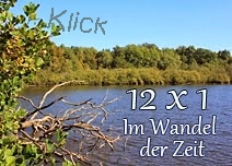 http://staedtischlaendlichnatuerlich.blogspot.de/2017/01/im-wandel-der-zeit-12-x-1-motivjanuar.html