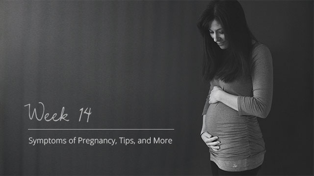 Pregnancy-Symptoms-Week-14