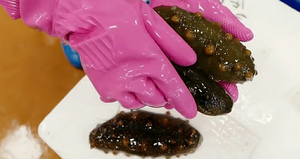 Facts About Sea Cucumber Can You Eat Sea Cucumber Sea Cucumber Facts