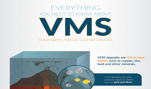 Everything You Need to Know on VMS Deposits 