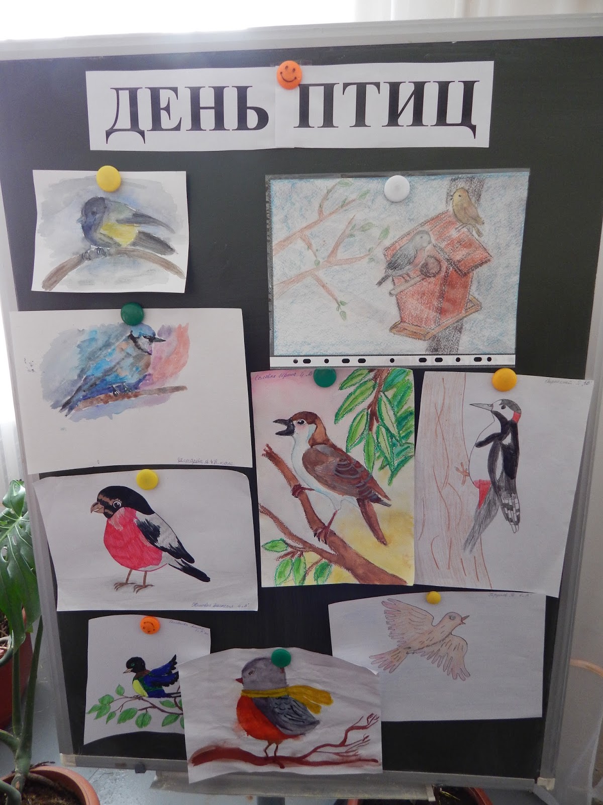 Книжная выставка 1 апреля день птиц