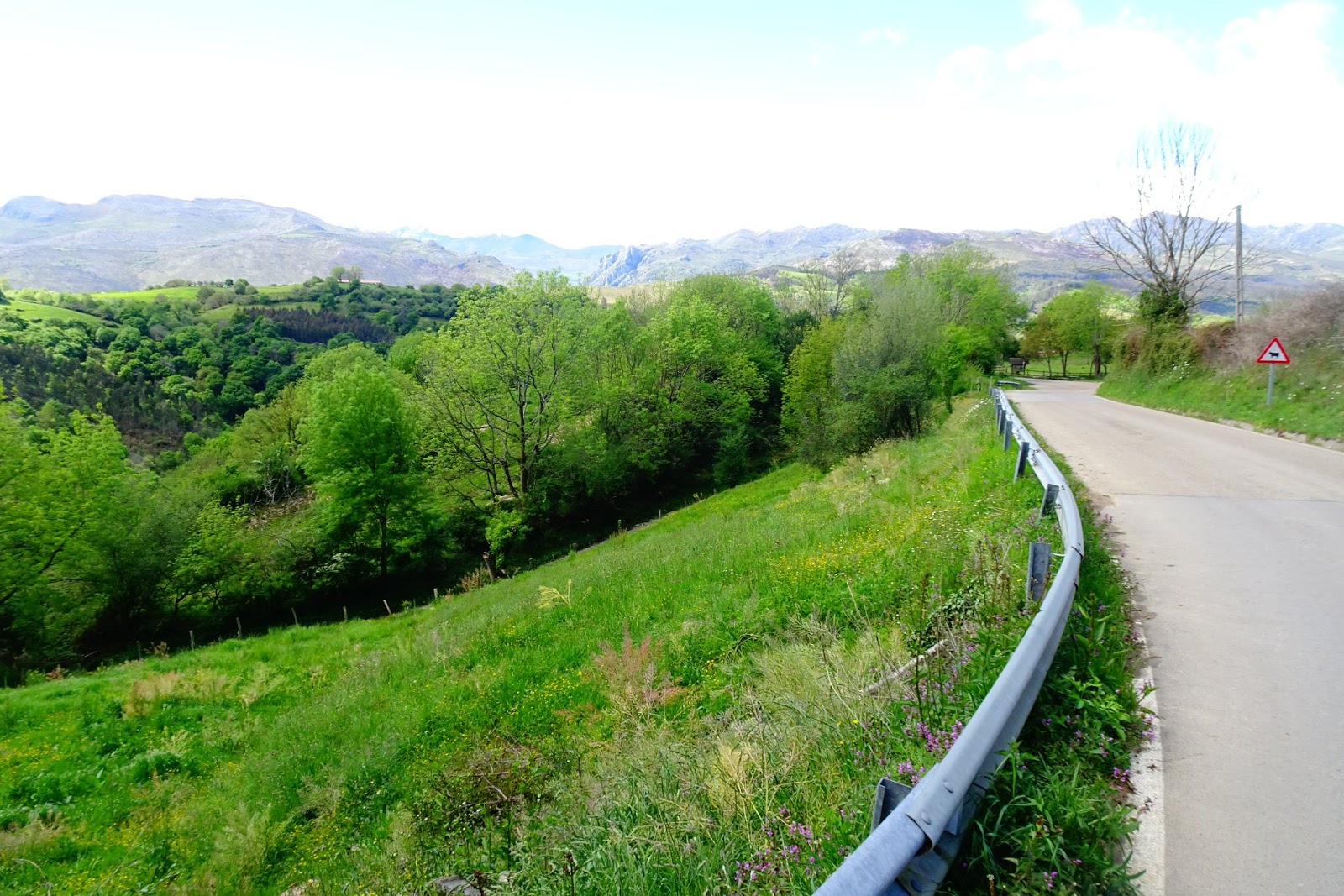 Xurde Morán EL CAMINO LEBANIEGO POR GANDARILLA Y BIELVA (y 2) DEL