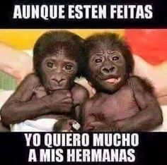 imagenes para whatsapp, frases de risa, chistosas, divertidas, graciosas para whatsapp imagenes para whatsapp, frases de risa, chistosas, divertidas, graciosas para whatsapp