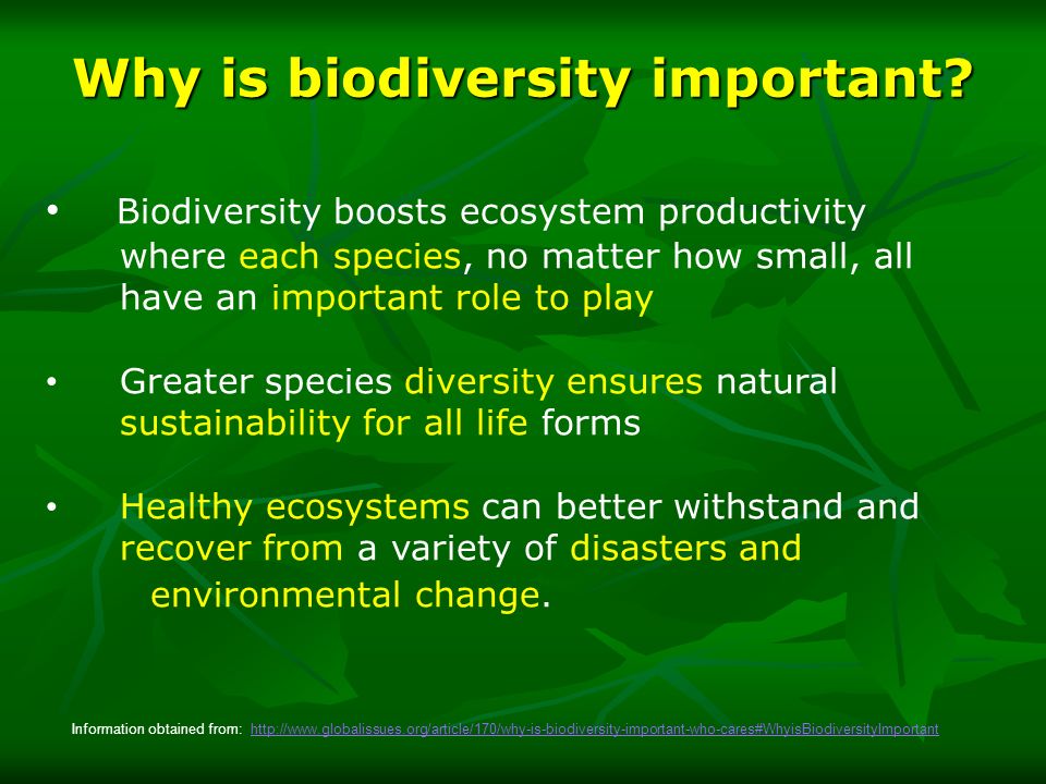 importance of biodiversity in human life essay