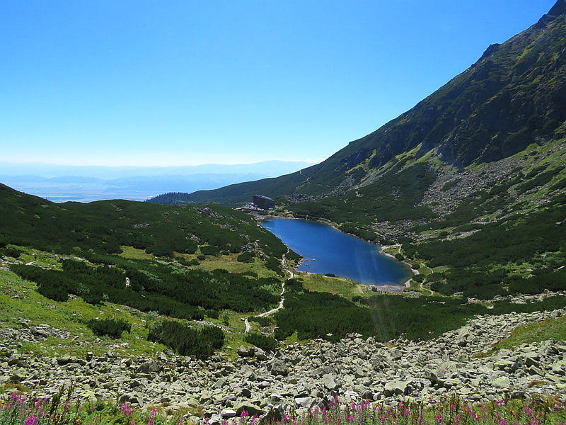 Wielicki Staw.